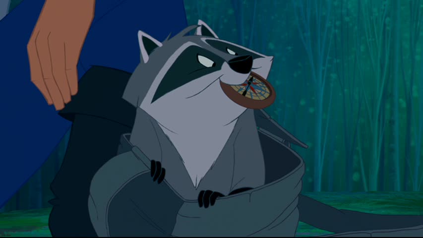 Tim's Toons: A field guide to animated raccoons - Blog - The Film Experience